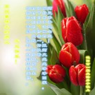 ���ֹ�,��½�󷨵��ӹ�ףʦ���������(39��)
