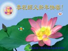 Published on 1/2/2014 ���ֹ�,��½�󷨵��ӹ�ףʦ���������(43��)
