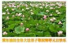 Published on 1/2/2014 ���ֹ�,����ҵ�󷨵��ӹ�ףʦ���������(80��)
