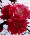 Published on 1/2/2014 ���ֹ�,��½�󷨵��ӹ�ףʦ���������(32��)
