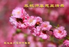 ���ֹ�,��½�󷨵��ӹ�ףʦ���������(31��)
