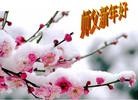 Published on 1/2/2014 ���ֹ�,��½�󷨵��ӹ�ףʦ���������(54��)
