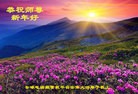Published on 1/2/2014 ���ֹ�,��½�󷨵��ӹ�ףʦ���������(48��)
