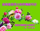 Published on 1/30/2014 ���ֹ�,��½�󷨵��ӹ�ףʦ���������(31��)
