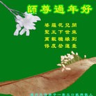 ���ֹ�,�����д󷨵��ӹ�ףʦ������ã�26����
