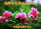 Published on 1/30/2014 ���ֹ�,���������˹�ףʦ�������(18��)
