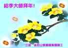Published on 1/27/2014 ���ֹ�,���������˹�ף���ʦ����ã�
