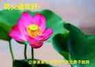 Published on 1/30/2014 ���ֹ�,��½���Ӵ󷨵��ӹ�ףʦ������
