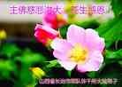 Published on 1/30/2014 ���ֹ�,��½���Ӵ󷨵��ӹ�ףʦ������

