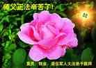 Published on 1/30/2014 ���ֹ�,��½���Ӵ󷨵��ӹ�ףʦ������
