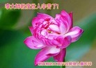 Published on 1/31/2014 ���ֹ�,����������˹�ף���ʦ������֣�39����
