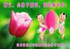 Published on 1/30/2014 ���ֹ�,С���ӹ�ףʦ���������(19��)
