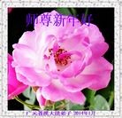 ���ֹ�,�Ĵ��󷨵��ӹ�ףʦ���������(24��)
