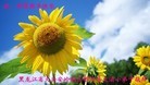 Published on 1/30/2014 ���ֹ�,С���ӹ�ףʦ���������(19��)
