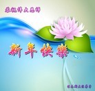 ���ֹ�,��ľ˹�󷨵��ӹ�ףʦ���������(18��)
