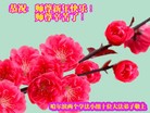 ���ֹ�,�������󷨵��ӹ�ףʦ���������(15��)
