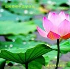 ���ֹ�,���󷨵��ӹ�ףʦ���������(22��)
