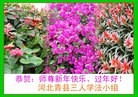 Published on 1/30/2014 ���ֹ�,�ӱ��󷨵��ӹ�ףʦ���������(32��)
