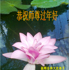 ���ֹ�,���ϴ󷨵��ӹ�ףʦ��������֣�19����
