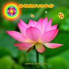 ���ֹ�,���󷨵��ӹ�ףʦ���������(22��)
