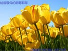 Published on 1/30/2014 ���ֹ�,��½�󷨵��ӹ�ףʦ���������(34��)
