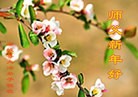 Published on 1/29/2014 ���ֹ�,ʯ��ׯ�󷨵��ӹ�ףʦ��������֣�22����
