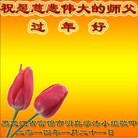 ���ֹ�,��ľ˹�󷨵��ӹ�ףʦ���������(19��)
