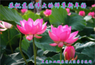 Published on 1/30/2014 ���ֹ�,���󷨵��ӹ�ףʦ������(23��)
