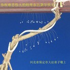 ���ֹ�,�����󷨵��ӹ�ףʦ���������(25��)
