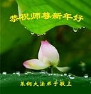 ���ֹ�,ɽ���󷨵��ӹ�ףʦ���������(29��)
