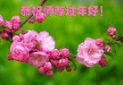 Published on 2/1/2014 ���ֹ�,С���ӹ�ףʦ���������(25��)
