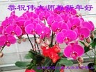 Published on 1/30/2014 ���ֹ�,��½�󷨵��ӹ�ףʦ���������(31��)
