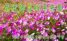 Published on 1/30/2014 ���ֹ�,��½�󷨵��ӹ�ףʦ���������(31��)
