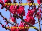 Published on 1/31/2014 ���ֹ�,���󷨵��ӹ�ףʦ������(28��)
