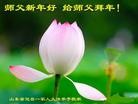 Published on 1/30/2014 ���ֹ�,��½�󷨵��ӹ�ףʦ���������(31��)
