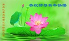 Published on 1/30/2014 ���ֹ�,��½�󷨵��ӹ�ףʦ���������(26��)
