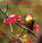 ���ֹ�,�Ϻ��󷨵��ӹ�ףʦ�������(28��)
