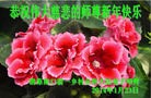 Published on 2/1/2014 ���ֹ�,���󷨵��ӹ�ףʦ���������(22��)
