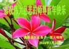 Published on 12/29/2015 ���ֹ�,��½�󷨵��ӹ�ףʦ���������(29��)
