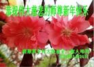 Published on 2/1/2014 ���ֹ�,���󷨵��ӹ�ףʦ���������(22��)

