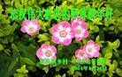Published on 2/1/2014 ���ֹ�,���󷨵��ӹ�ףʦ���������(22��)

