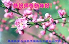 Published on 1/30/2014 ���ֹ�,��½�󷨵��ӹ�ףʦ���������(31��)
