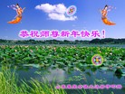Published on 1/30/2014 ���ֹ�,��½�󷨵��ӹ�ףʦ���������(31��)
