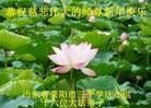 Published on 1/30/2014 ���ֹ�,��½�󷨵��ӹ�ףʦ���������(25��)
