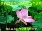 Published on 1/30/2014 ���ֹ�,��½�󷨵��ӹ�ףʦ���������(31��)
