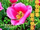 Published on 1/30/2014 ���ֹ�,��½�󷨵��ӹ�ףʦ���������(25��)
