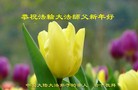 Published on 1/30/2014 ���ֹ�,���������˹�ף���־��ʦ�����(34��)
