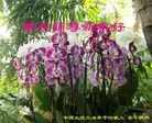 Published on 1/30/2014 ���ֹ�,���������˹�ף���־��ʦ�����(34��)

