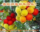 Published on 1/30/2014 ���ֹ�,��½�󷨵��ӹ�ףʦ���������(38��)
