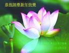 Published on 1/30/2014 ���ֹ�,��½�󷨵��ӹ�ףʦ���������(25��)
